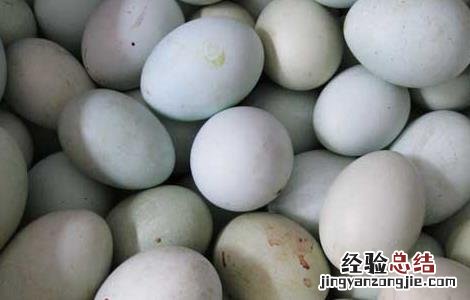 乌鸡蛋和普通鸡蛋的区别营养 乌鸡蛋和普通鸡蛋的区别