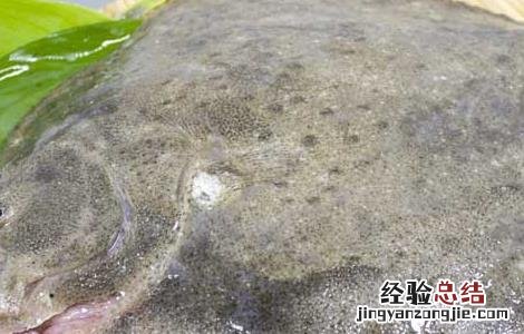鲈鱼与多宝鱼的营养价值 多宝鱼的营养价值