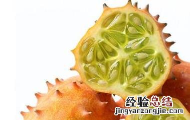 刺角瓜的养生功效和食用禁忌 刺角瓜的养生功效和食用禁忌表