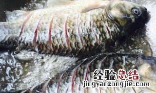 鲫鱼干怎么做好吃 鲫鱼干如何做好吃
