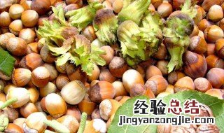 生大榛子的功效与作用 生大榛子的功效与作用