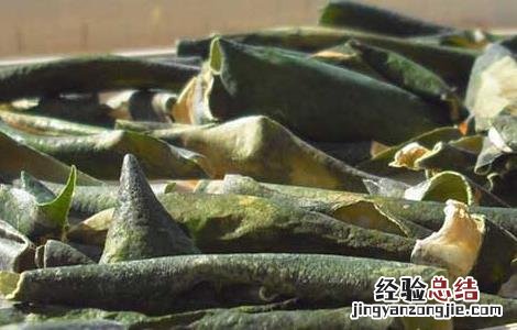 冬瓜皮的功效与作用及禁忌 冬瓜皮的功效与作用