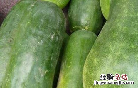 冬瓜皮的功效与作用及禁忌 冬瓜皮的功效与作用