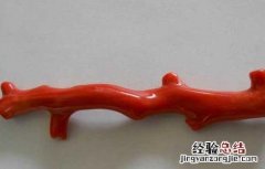 红珊瑚的鉴别方法 阿卡红珊瑚的鉴别方法