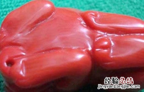 红珊瑚有什么好处 红珊瑚有什么作用