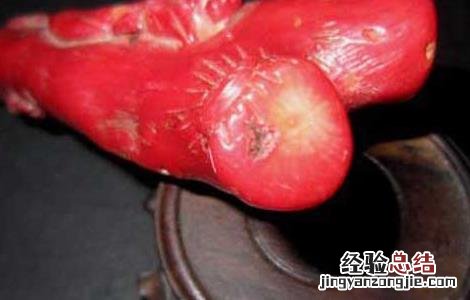 红珊瑚有什么好处 红珊瑚有什么作用