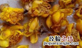 什么人不能喝金花茶 金银花的副作用太大了