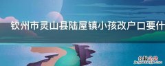 钦州市灵山县陆屋镇小孩改户口要什么手续