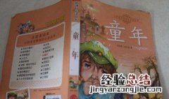 童年这本书中小茨冈是怎么死的