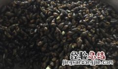 溪螺汤的功效与作用 溪螺汤的功效与作用