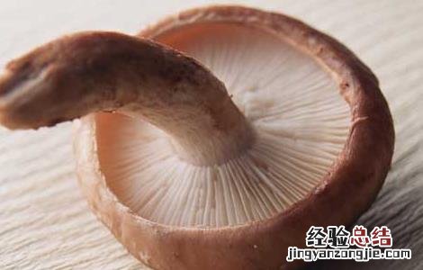 香菇的功效与作用 香菇的功效与作用禁忌