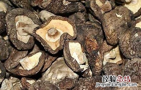 香菇的功效与作用 香菇的功效与作用禁忌