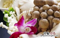 香菇的功效与作用 香菇的功效与作用禁忌