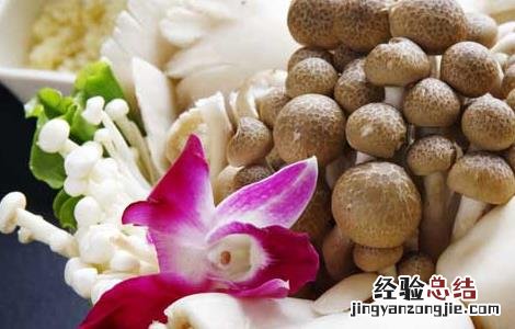 香菇的功效与作用 香菇的功效与作用禁忌