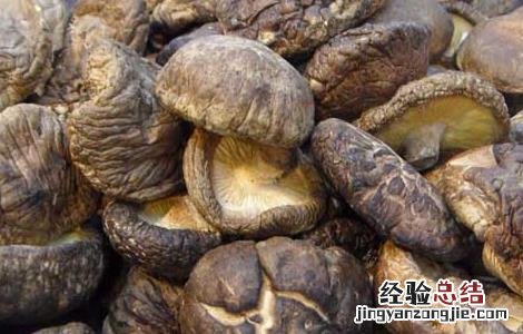 香菇的功效与作用 香菇的功效与作用禁忌