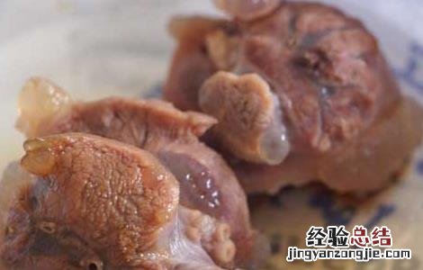 骆驼肉好不好吃