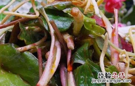 折耳根的功效与作用 折耳根的功效与作用及禁忌、副作用