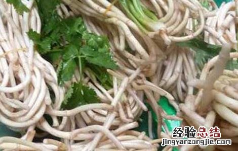 折耳根泡水喝的功效和副作用 折耳根泡水的功效与作用
