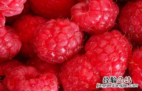 覆盆子叶茶的功效与作用 覆盆子茶的功效和作用