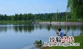 春季雨后天晴能钓鱼吗视频 春季雨后天晴能钓鱼吗