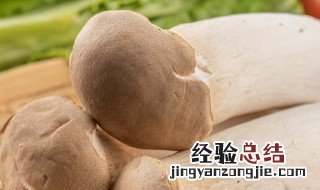 杏鲍菇与紫菜相克吗 杏鲍菇与紫菜是否相克
