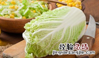 肉炒白菜的家常做法大全 肉炒白菜的家常做法