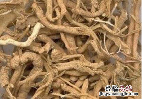 远志的营养价值