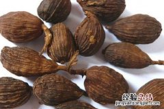 草果的营养价值
