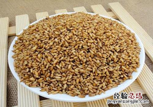 柏子仁的营养价值