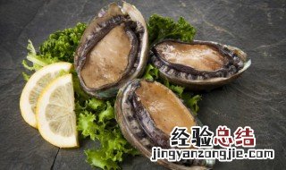 鲍鱼蒸粉丝的做法 鲍鱼蒸粉丝的做法大全