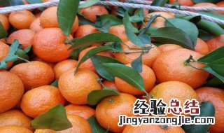沙糖桔统果是什么意思