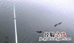 双铅钓法上下铅哪个大一点 双铅钓法上下铅哪个大