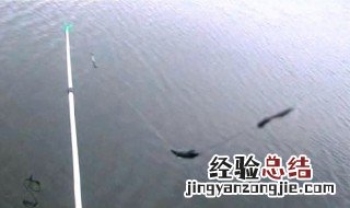 双铅钓法上下铅哪个大一点 双铅钓法上下铅哪个大