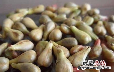 葡萄籽油的功效与作用及食用方法 葡萄籽油的功效与作用