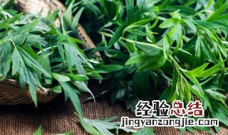 艾叶洗澡的功效与作用