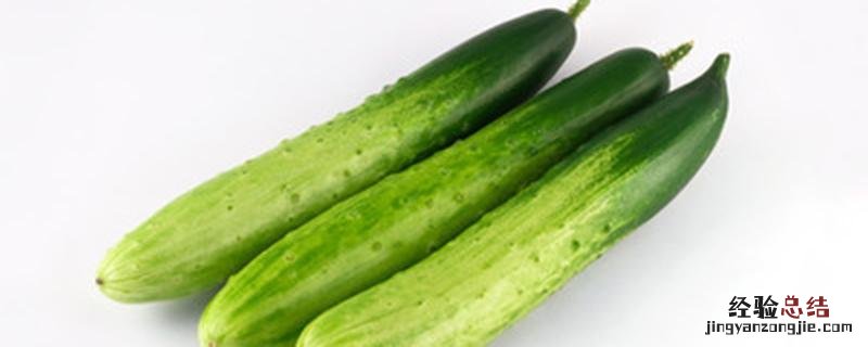 让黄瓜根系好的方法 怎样使黄瓜根系发达