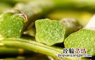 石斛对男人的功效与好处与禁忌 石斛对男人的功效与好处
