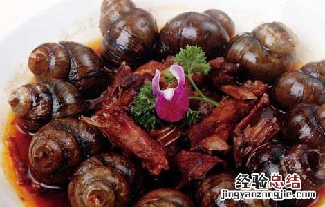 田螺的营养价值及功效与作用禁忌 田螺的营养价值