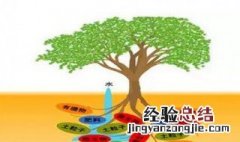 如何预防土壤中已有的有机质损失掉 土壤去除有机质