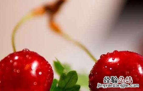 车厘子的功效与作用 车厘子的功效与作用及营养价值