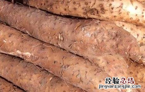 吃山药的好处有什么 吃山药的好处有哪些