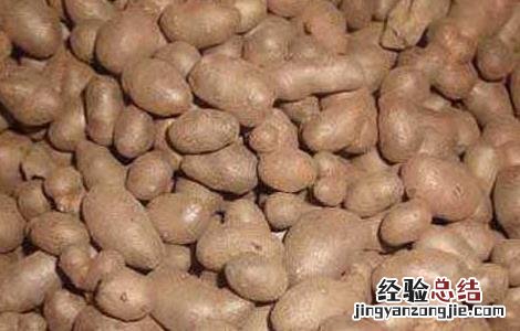 山药豆的功效与作用和山药一样吗 山药豆的功效与作用