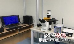 如何利用荧光显微镜检测细胞凋亡 如何利用荧光显微镜检测细胞凋亡时间