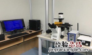 如何利用荧光显微镜检测细胞凋亡 如何利用荧光显微镜检测细胞凋亡时间