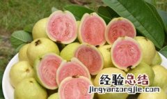 番石榴茶的功效与作用 番石榴茶的功效与作用能降糖?