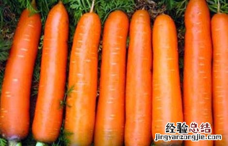 胡萝卜素的作用有哪些?