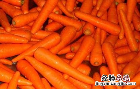 胡萝卜素的作用有哪些?