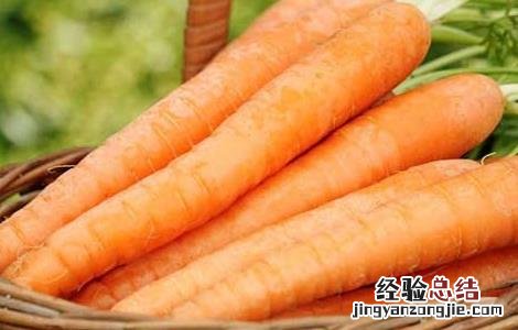 胡萝卜素的作用有哪些?