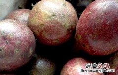 百香果的副作用有哪些 百香果的副作用是什么