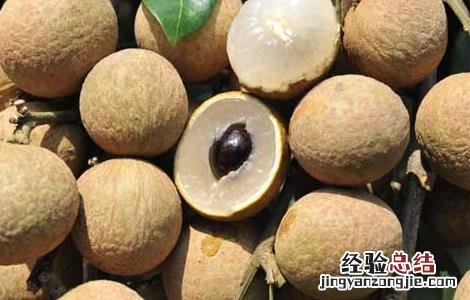 龙眼的功效与作用及禁忌 龙眼的功效与作用及禁忌人群